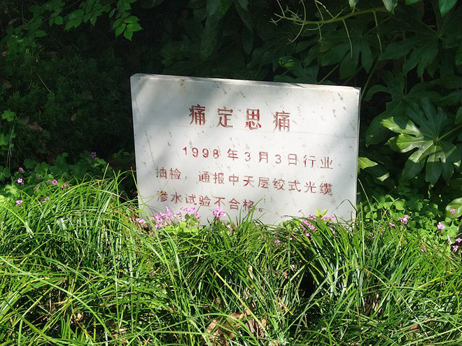 多宝电竞·(中国区)官方网站