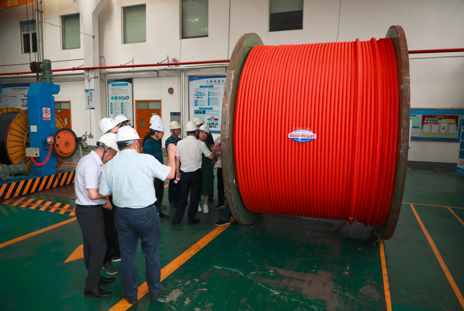 多宝电竞·(中国区)官方网站