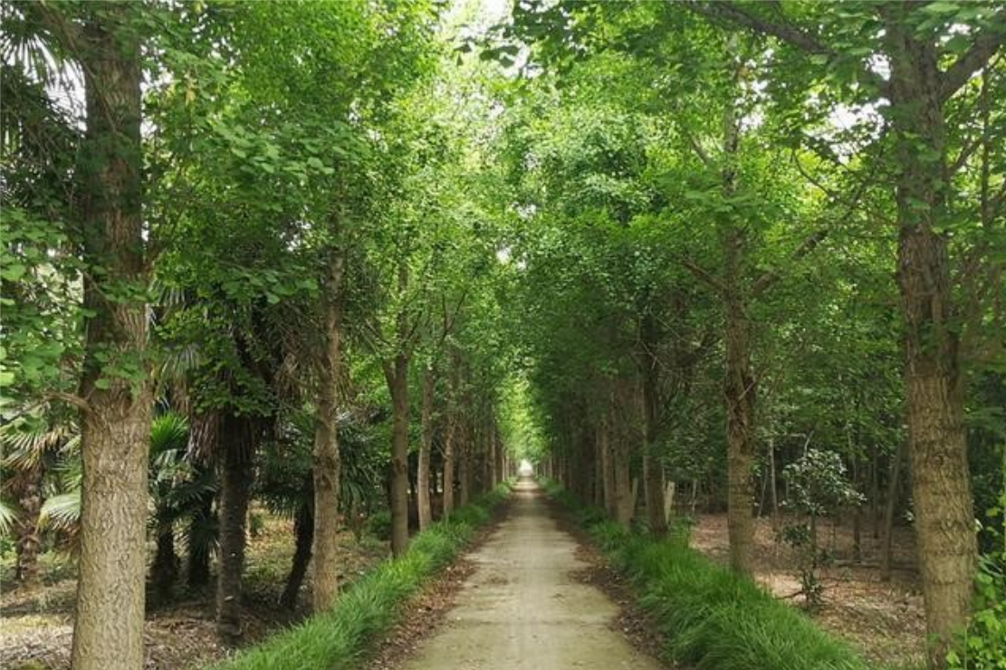 多宝电竞·(中国区)官方网站